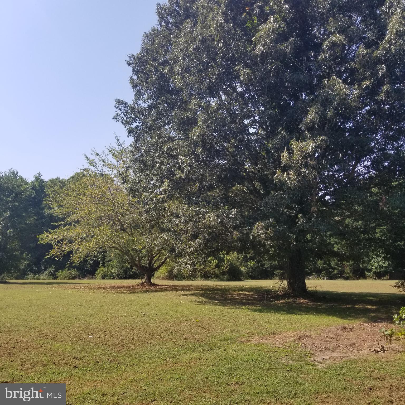 CHAPEL BRANCH - Land