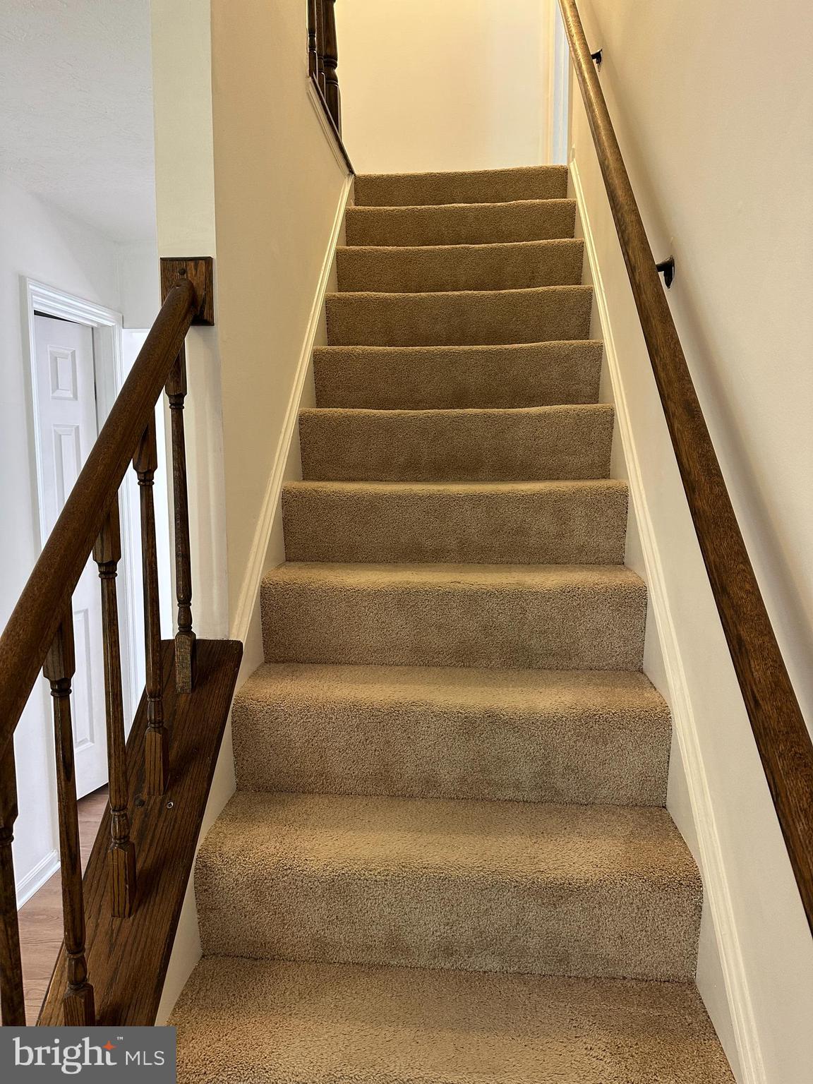 DORSEY SEARCH - Residential Lease
