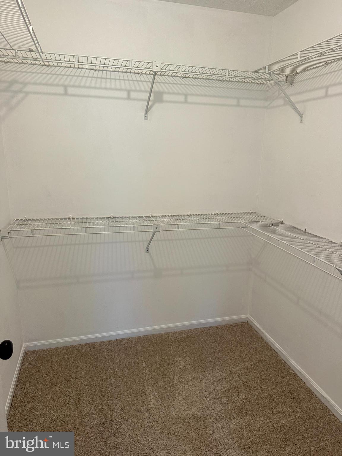 DORSEY SEARCH - Residential Lease