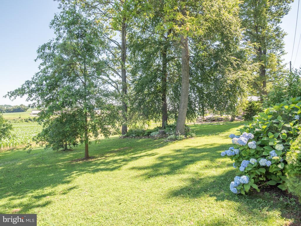 EAST DRUMORE TWP - Residential