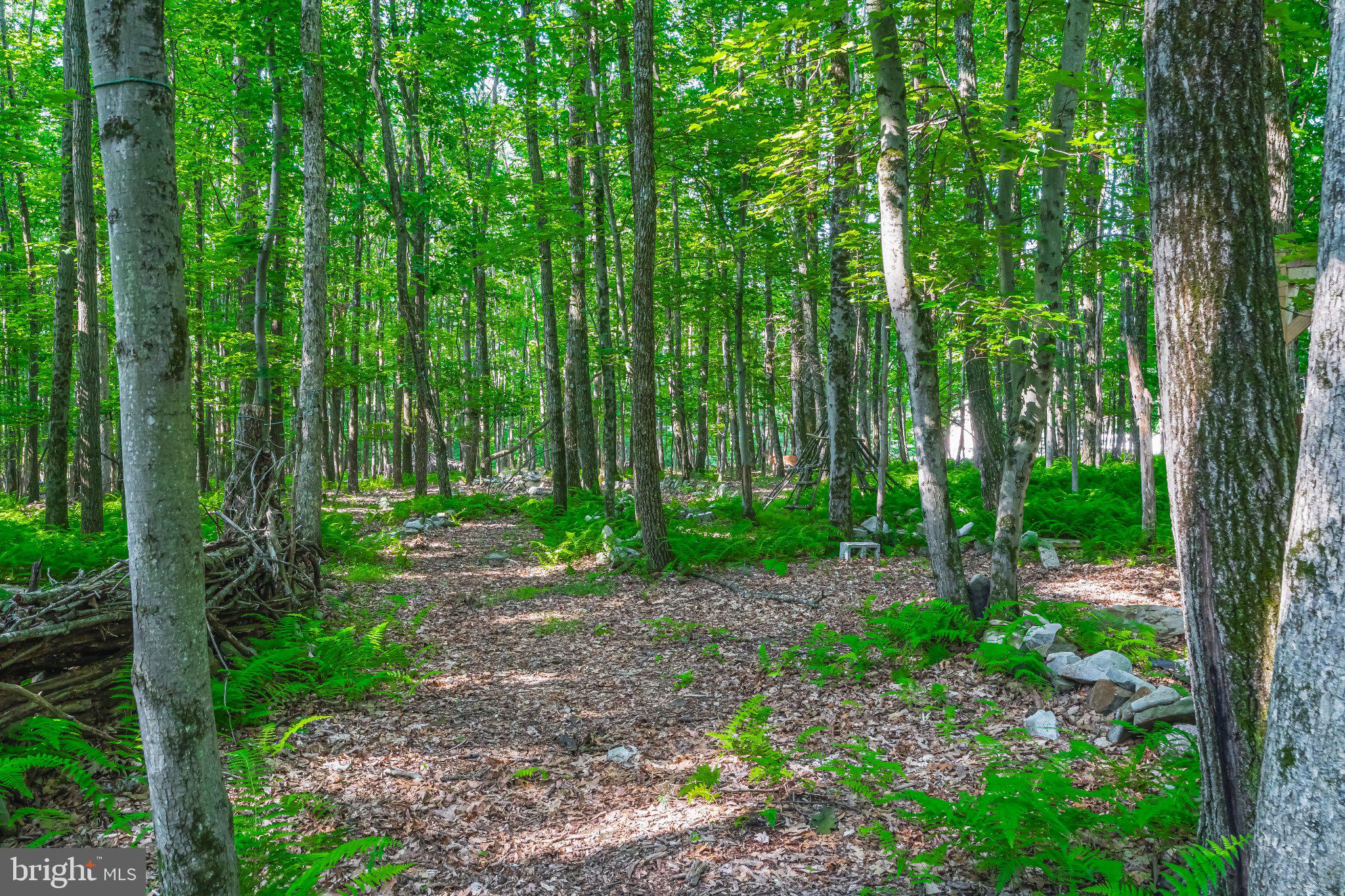 ROBIN HOOD LAKES - Residential