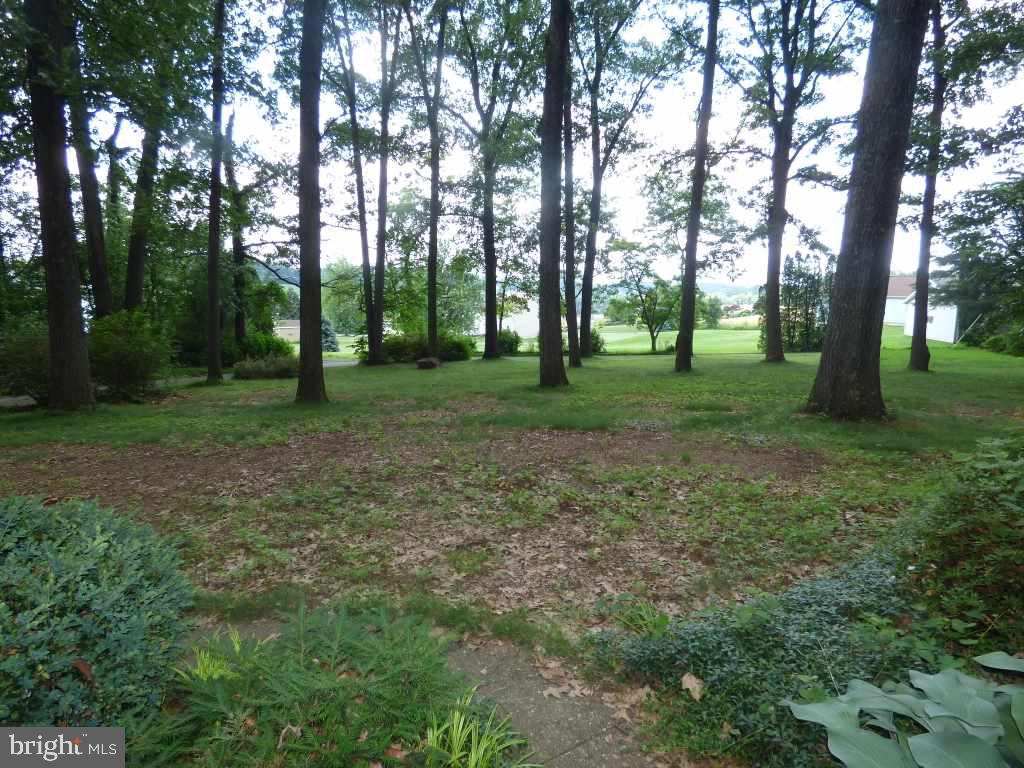 LOWER WINDSOR - Residential