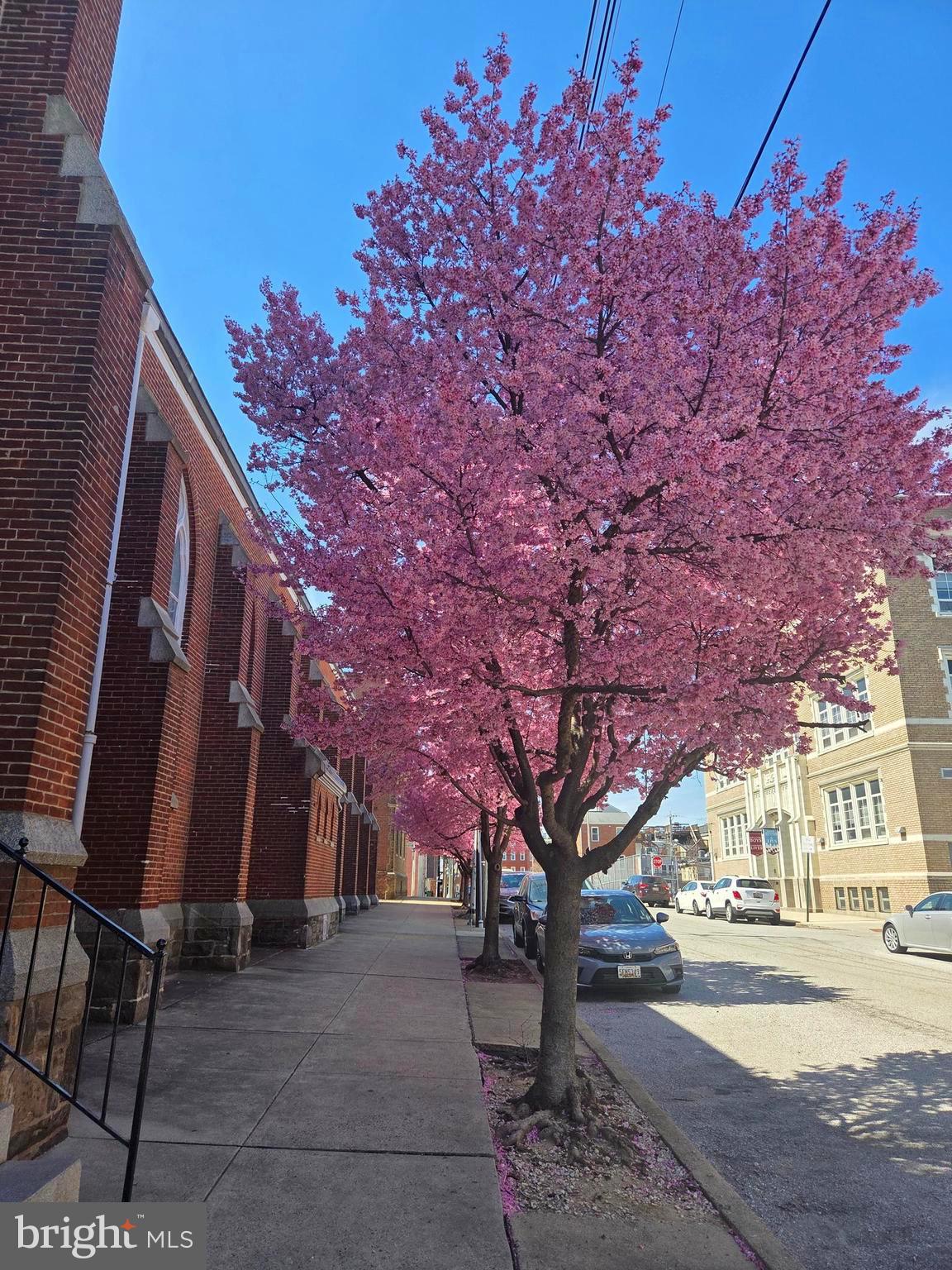 FEDERAL HILL HISTORIC DISTRICT - Residential