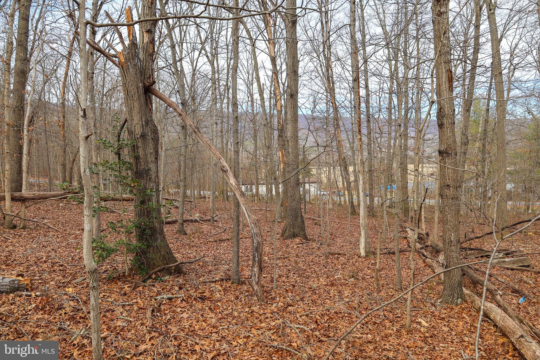 RIVERVIEW ESTATES - Land