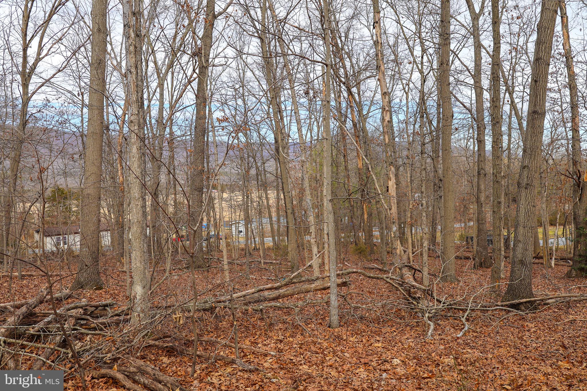 RIVERVIEW ESTATES - Land
