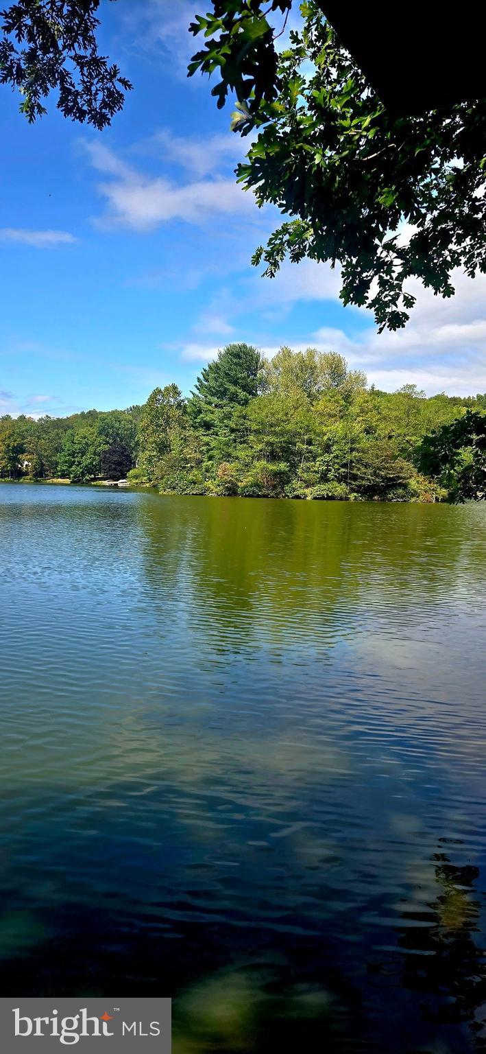 Lake Serene Winchester Va. Don’t miss this rare opportunity to own the last available build-able lot in peaceful, secluded Lake Serene, a private, established lake community quietly tucked away, yet only 10 minutes from Old Town Winchester! You will never find an opportunity like this to enjoy the peace and tranquility of waterfront living with the added bonus of being only a few miles from shopping, restaurants, the grocery store and city life!  Enjoy fishing, swimming, kayaks, canoes, electric boats, hand propelled watercraft, or simply relaxing in a hammock by the shoreline. Anglers – expect bass, perch, and carp!
This is a perfect lot for a small weekend home to relax and unwind by the water, a retirement home, or a permanent home enjoying lakefront living year round! Lot is buildable and approved for 3 bedroom home, size of lot is 33,106 sf with electricity. Septic and well have approved sites and are located on the plot.  Buy today and you can immediately enjoy the amenities which convey: an outdoor building/she shed with electricity, refrigerator, storage cabinets, fishing racks, shelving, and port a-potty private area; outdoor covered pavilion with 2 picnic tables and attached dock; running water(from lake not for drinking); bricked outdoor cooking area with Blackstone grill and Corian hot plate. We also have a pontoon boat (on site) which price would be negotiable. Once waterfront property is gone, its gone!