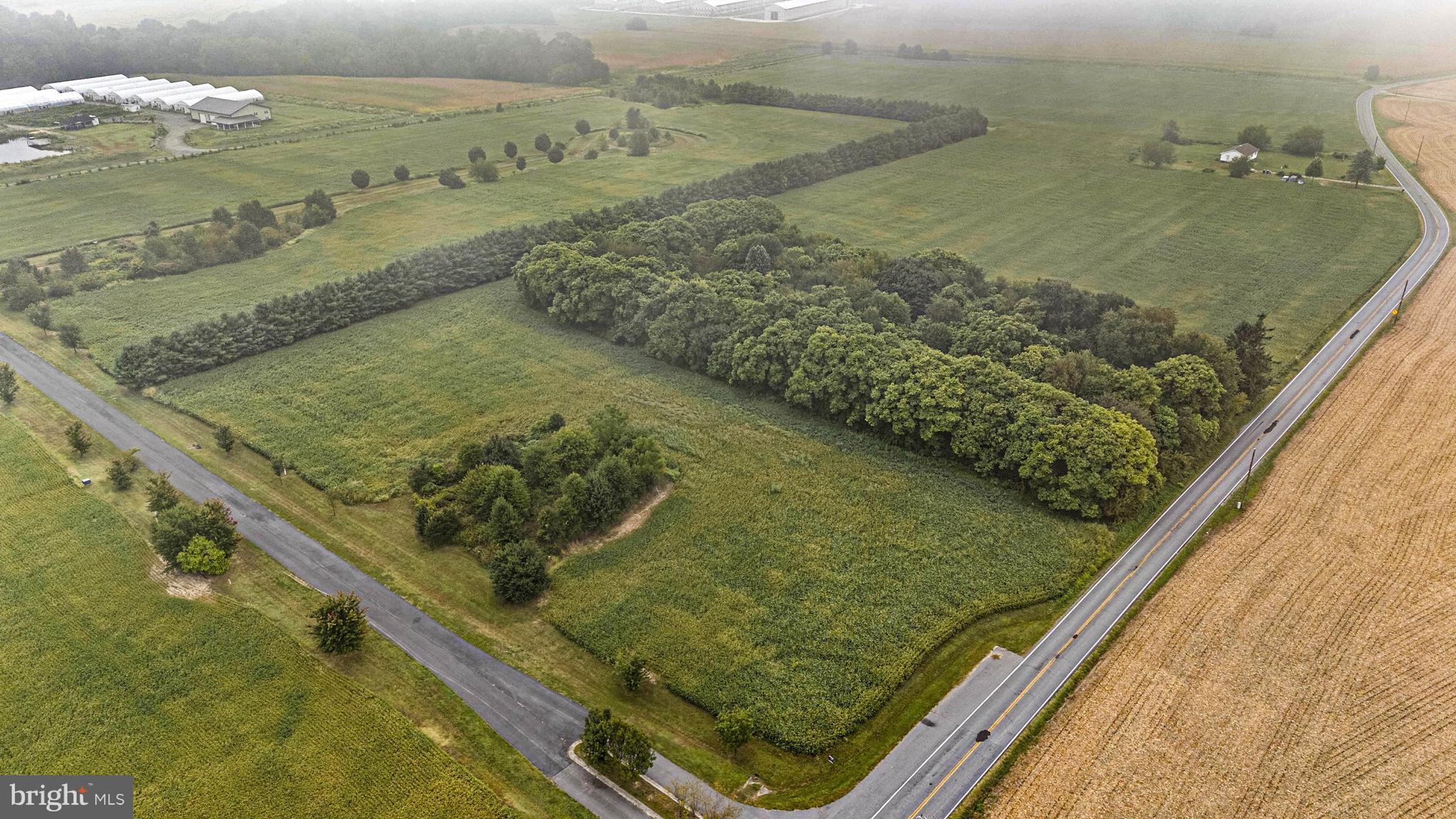 26.45 Acres in Warwick MD, a  beautiful  large parcel of land that is awaiting an estate home with tree line of white pines.... maybe a small farm.... This lovely land is located near the hamlet of Warwick and only a few miles from Middletown DE minutes from plenty of shopping and restaurants.   Cecil county has so much to offer ...convenient to the marinas, horse farms ... ...There is a structure that Septic and Well exists on the property..... there is a tear down with no value................