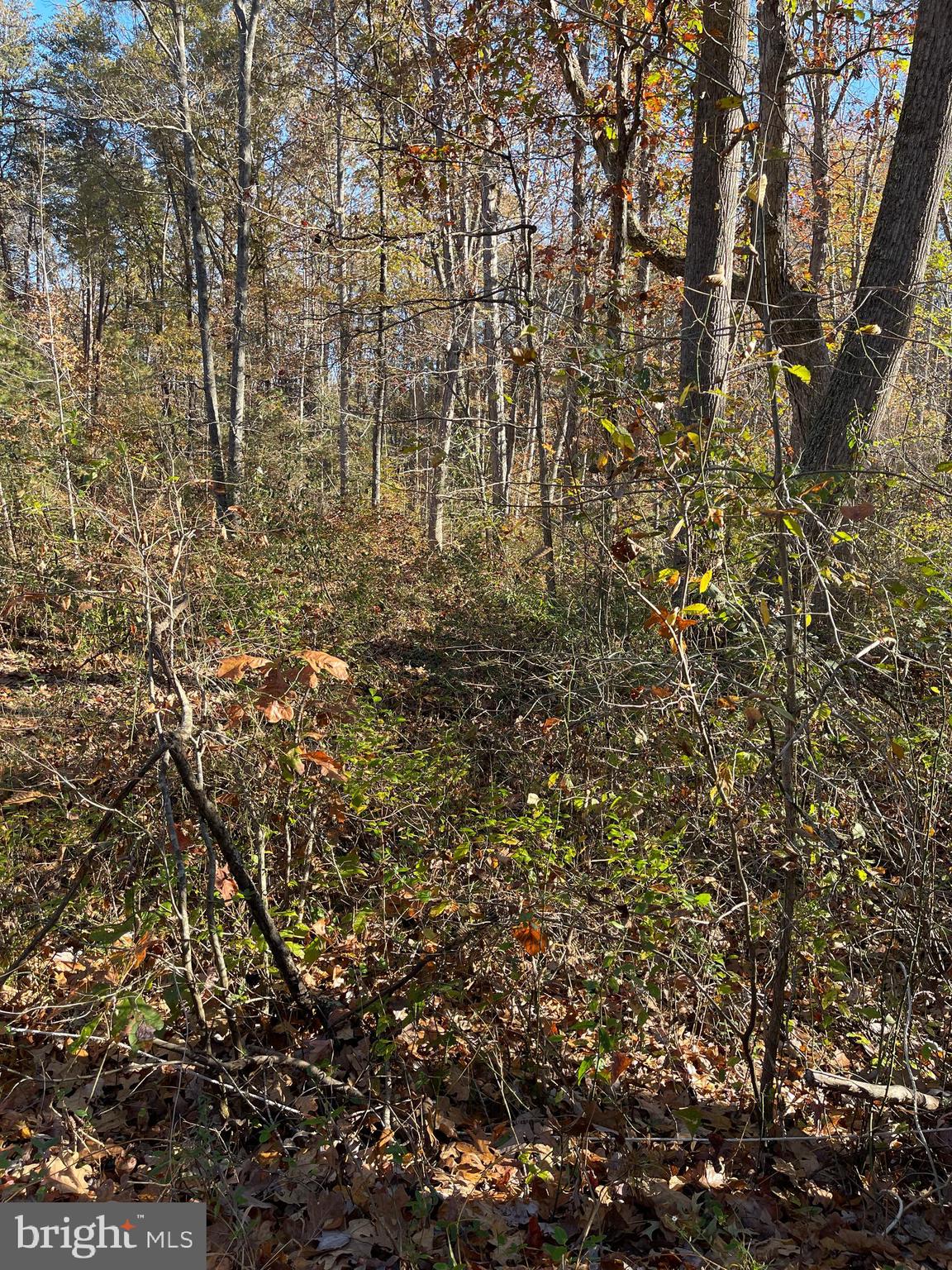 Beautiful 5.42 acres to build your dream home. Convenient to shopping on Routes 3 and 208 as well as easy access to I-95. There is a second lot that is available for sale 7120 Dominique Dr.(Tax62-15--E) by separate MLS listing. Please call the listing agent with any questions.