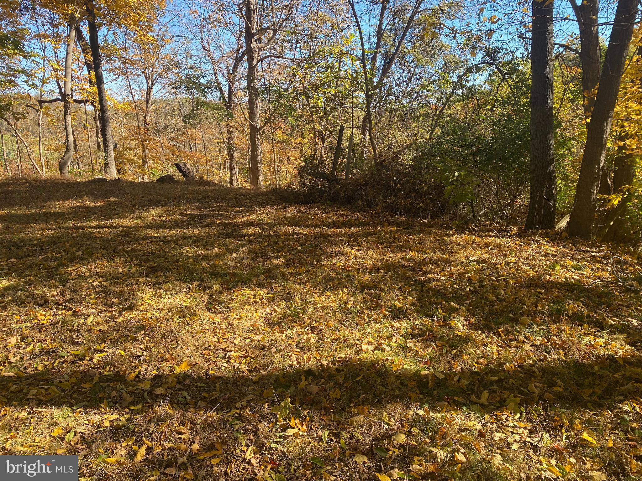 POTOMAC HILLS - Residential