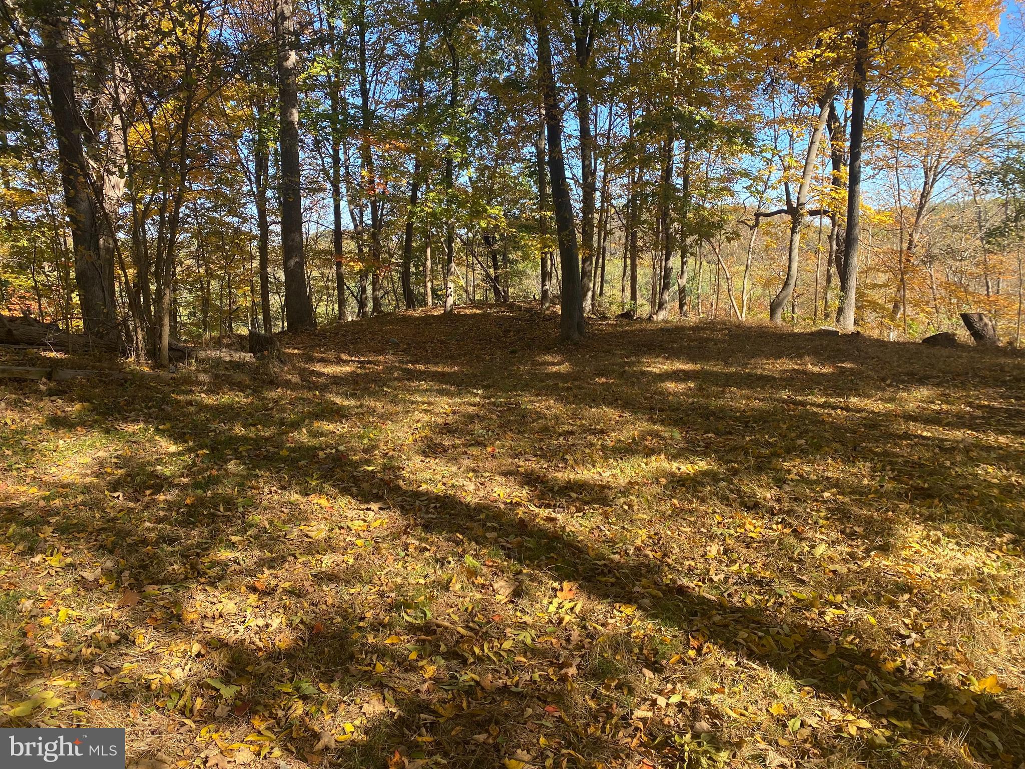 POTOMAC HILLS - Residential