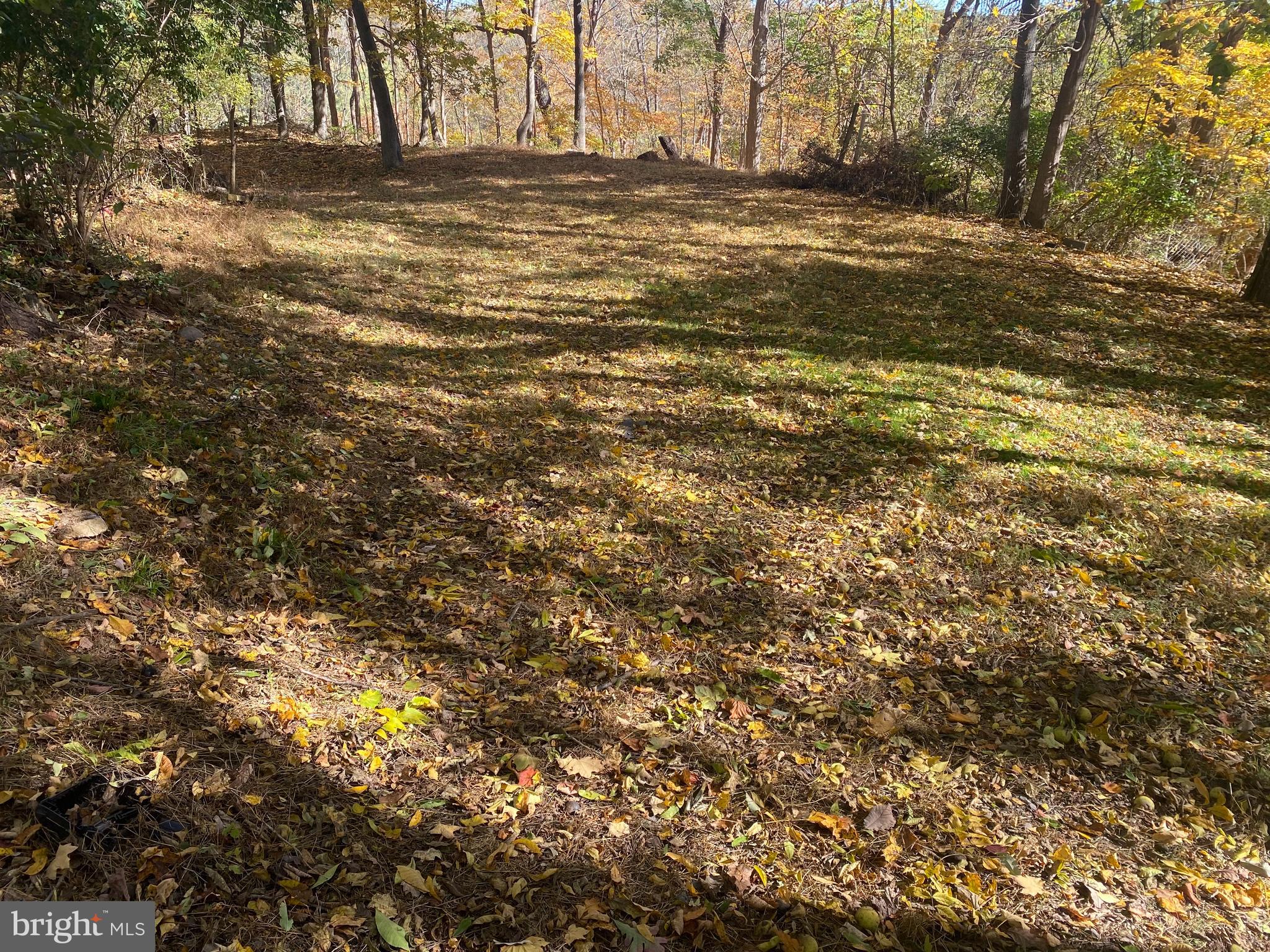 POTOMAC HILLS - Residential