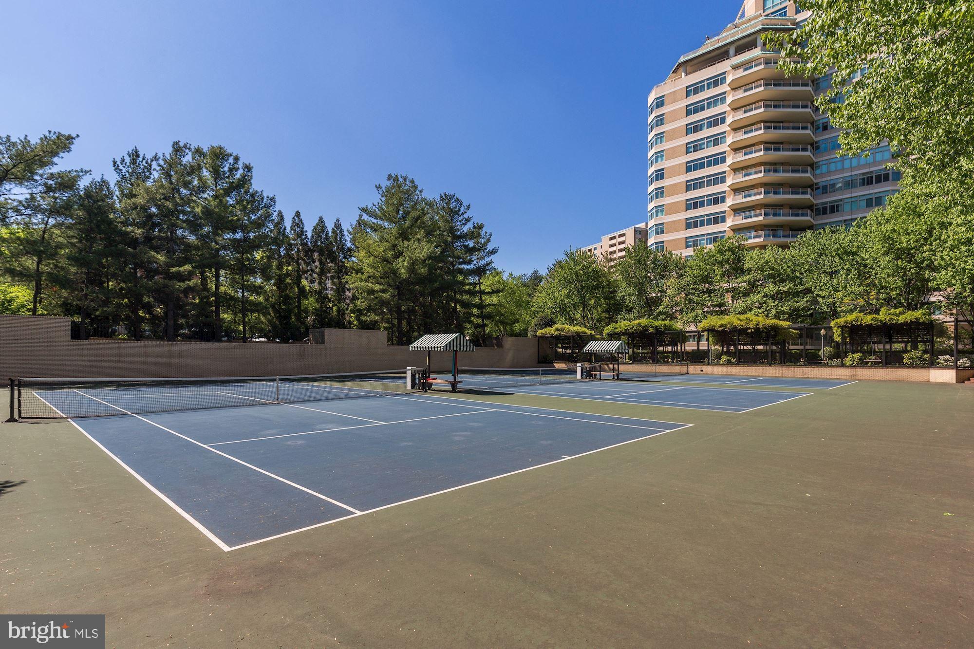 SOMERSET HOUSE CONDOS - Residential