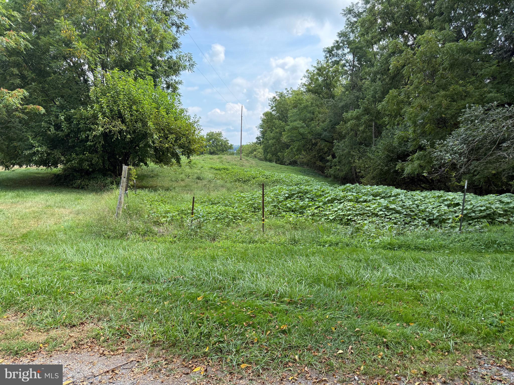 UNIONTOWN - Farm