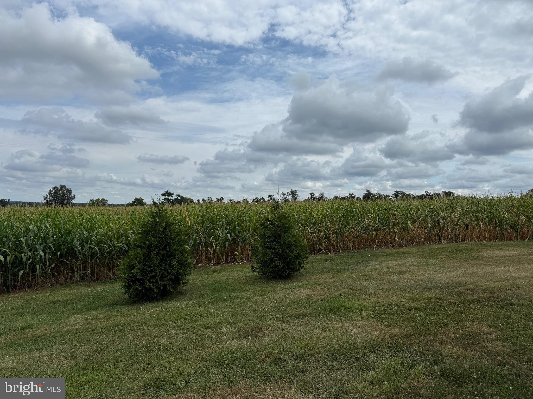 UNIONTOWN - Farm