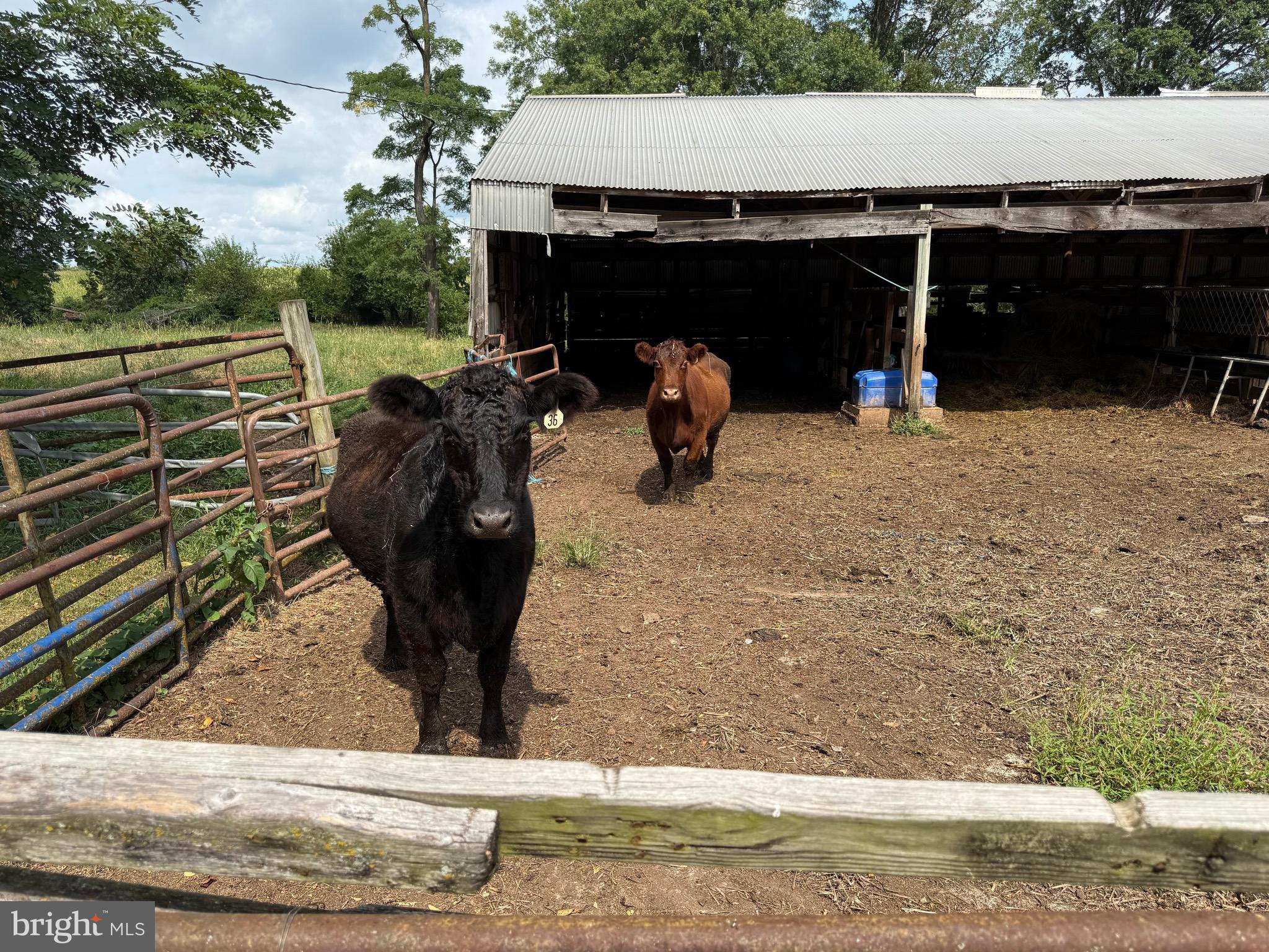 UNIONTOWN - Farm