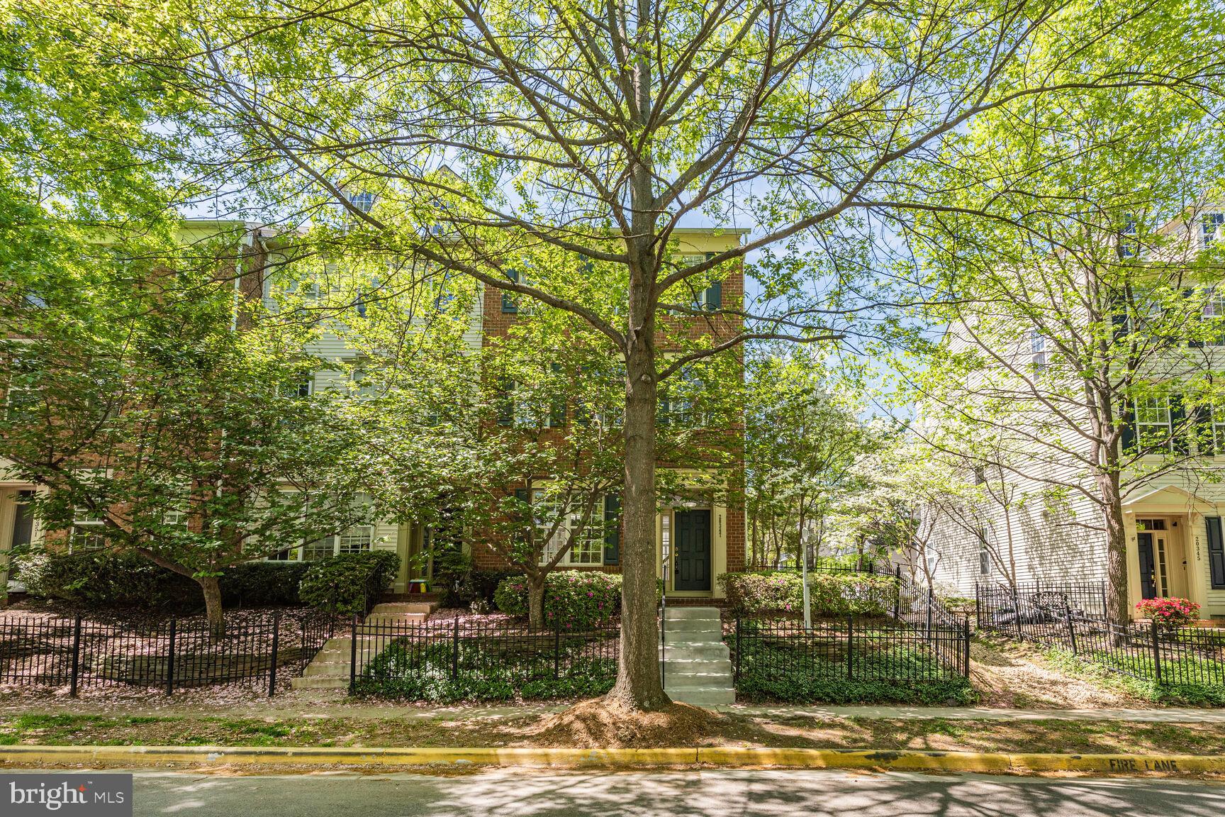 BELMONT GREENE - Residential