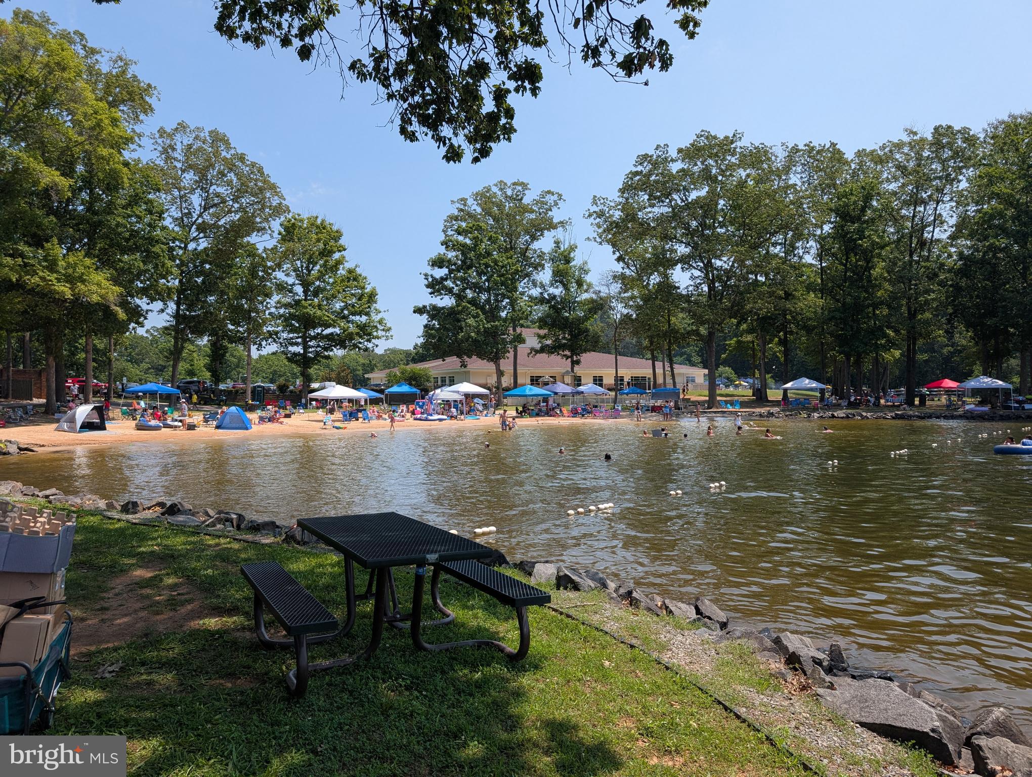 LAKE OF THE WOODS - Land