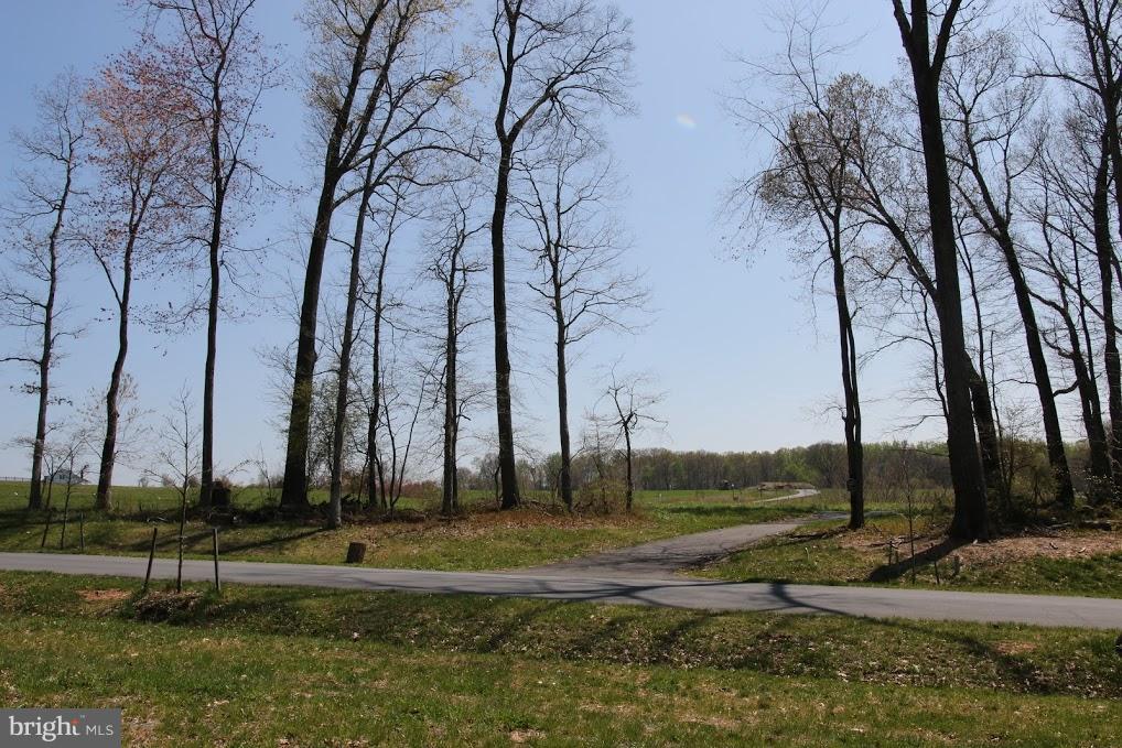 RESERVE AT BLACK ROCK - Land