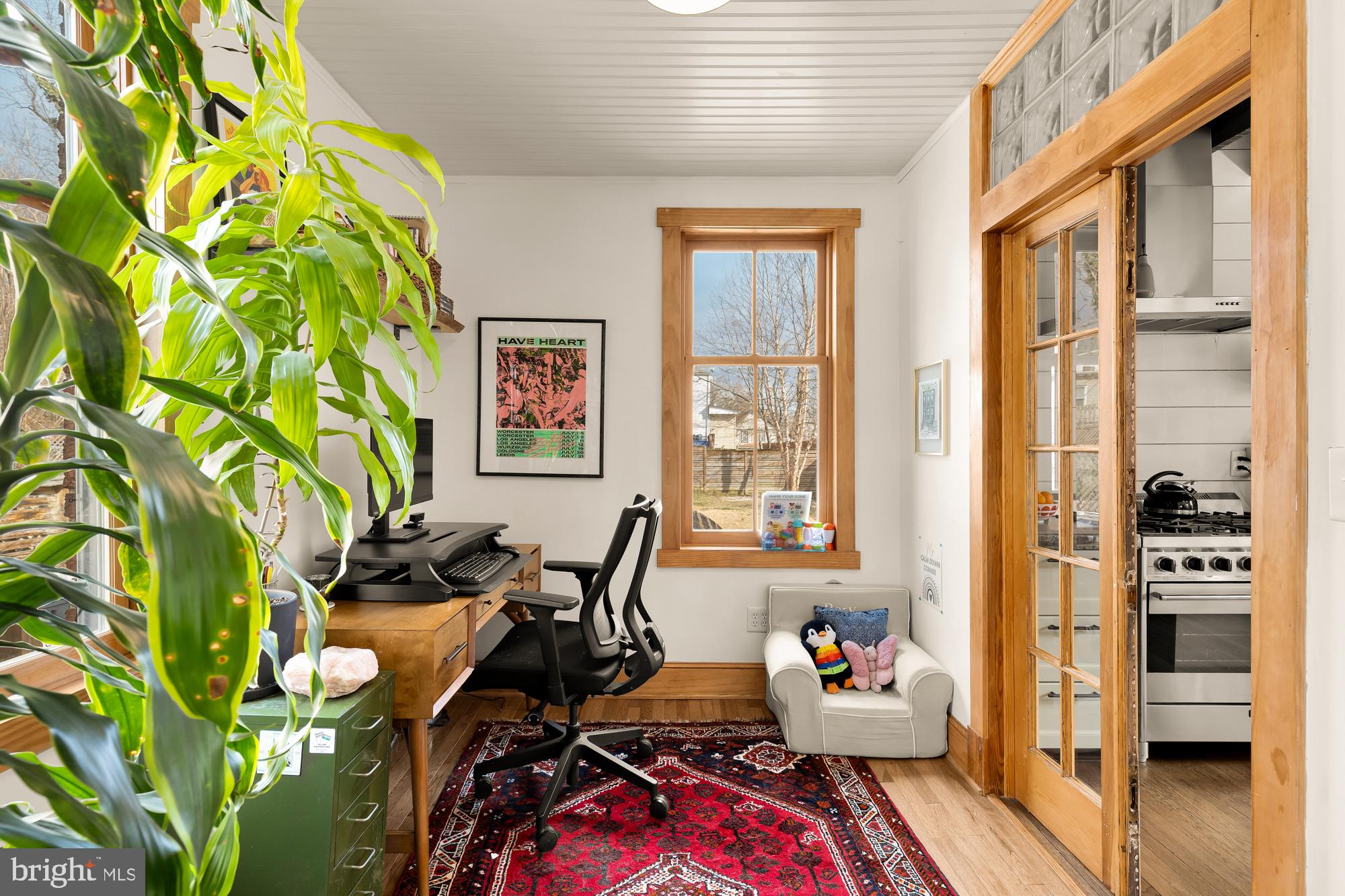 MOUNT RAINIER - Residential