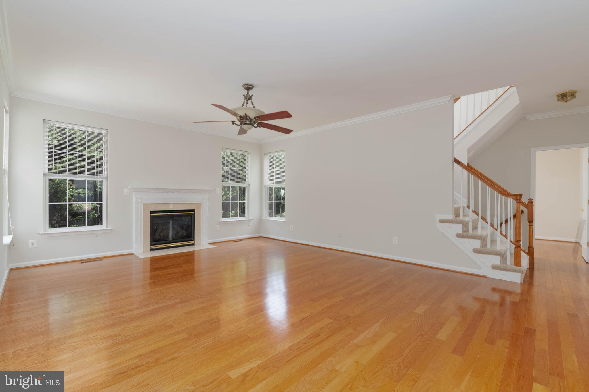 MONMOUTH MEADOWS - Residential