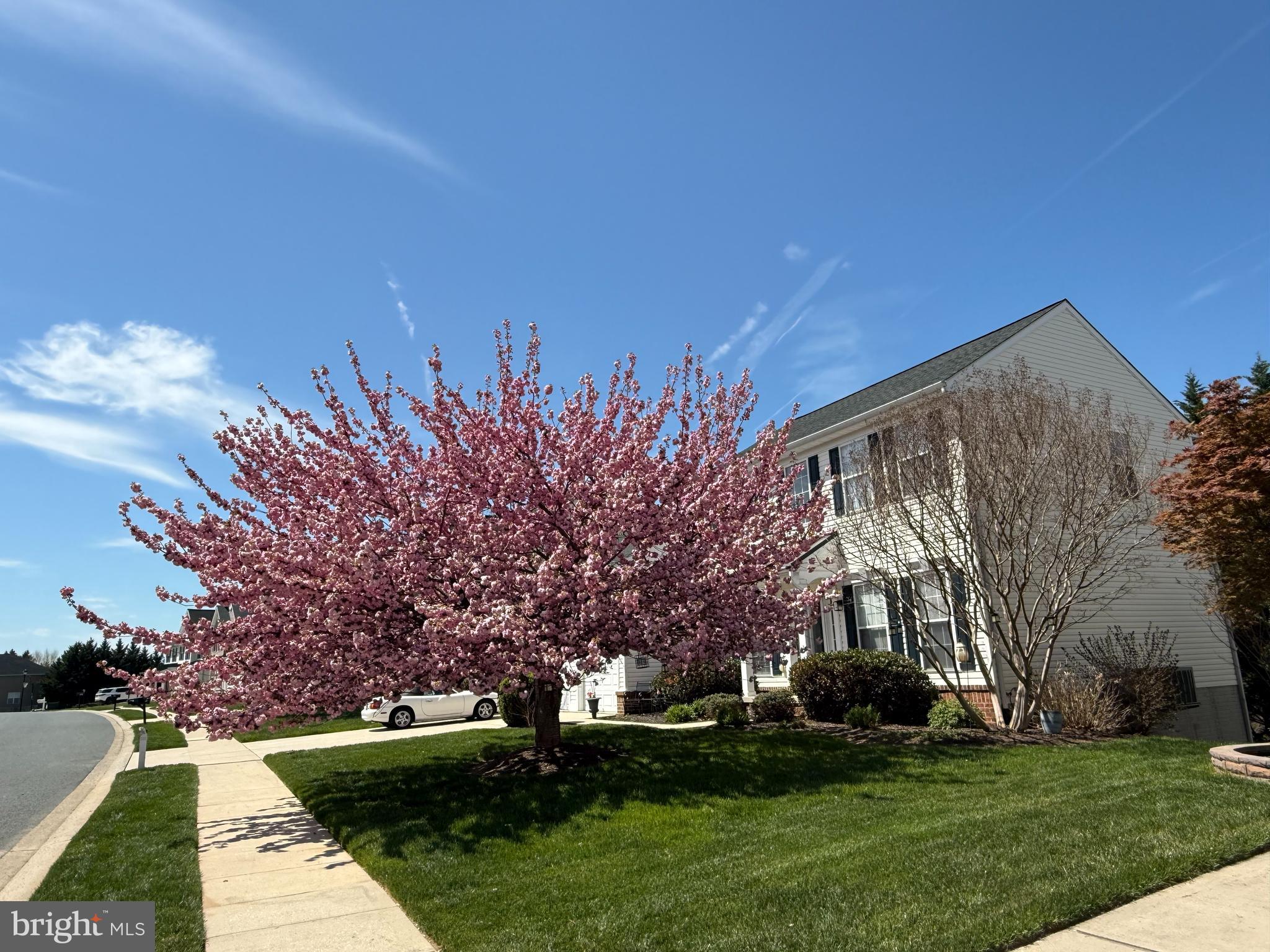 MONMOUTH MEADOWS - Residential