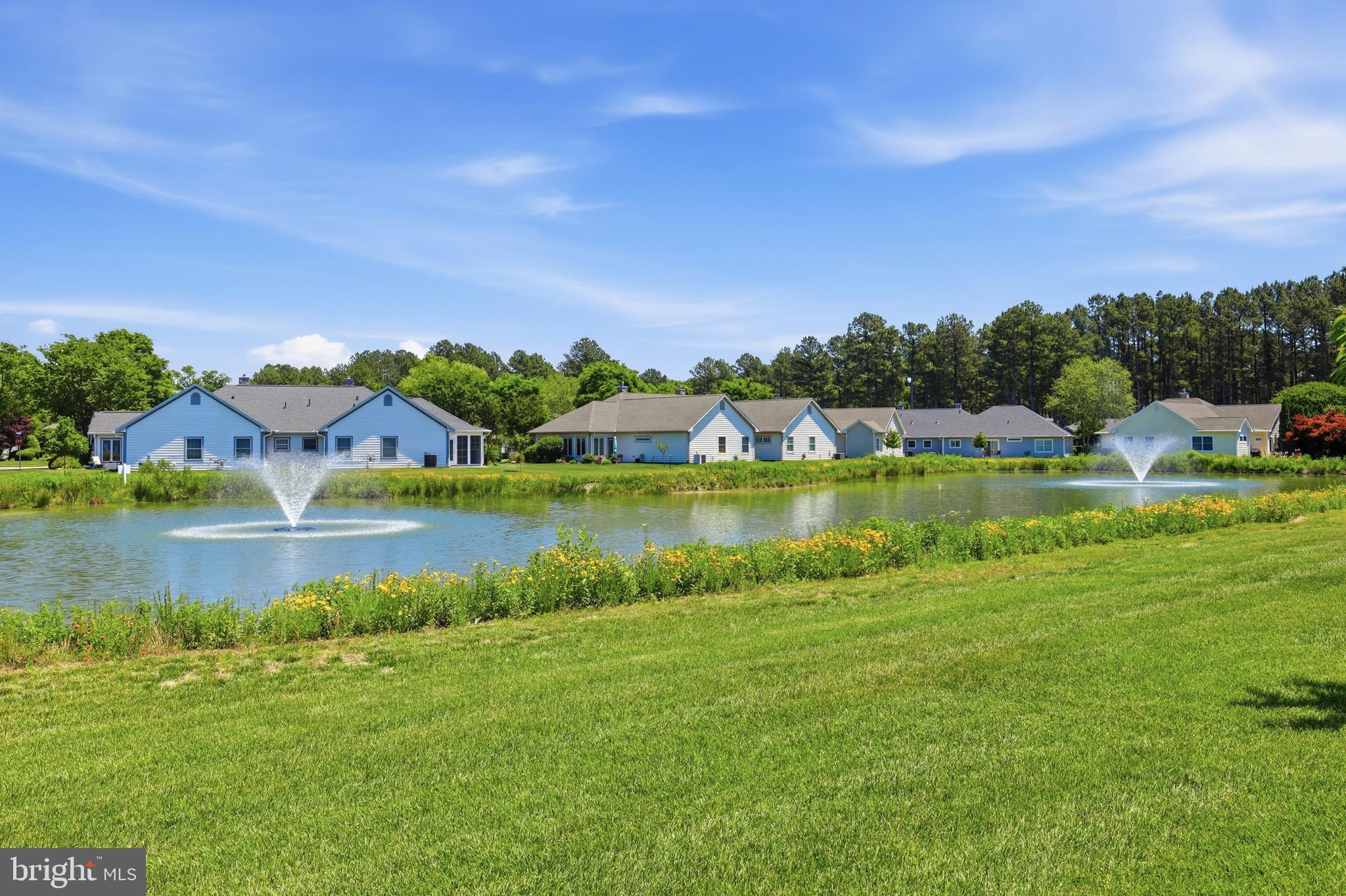 VILLAGE OF CINDERBERRY - Residential