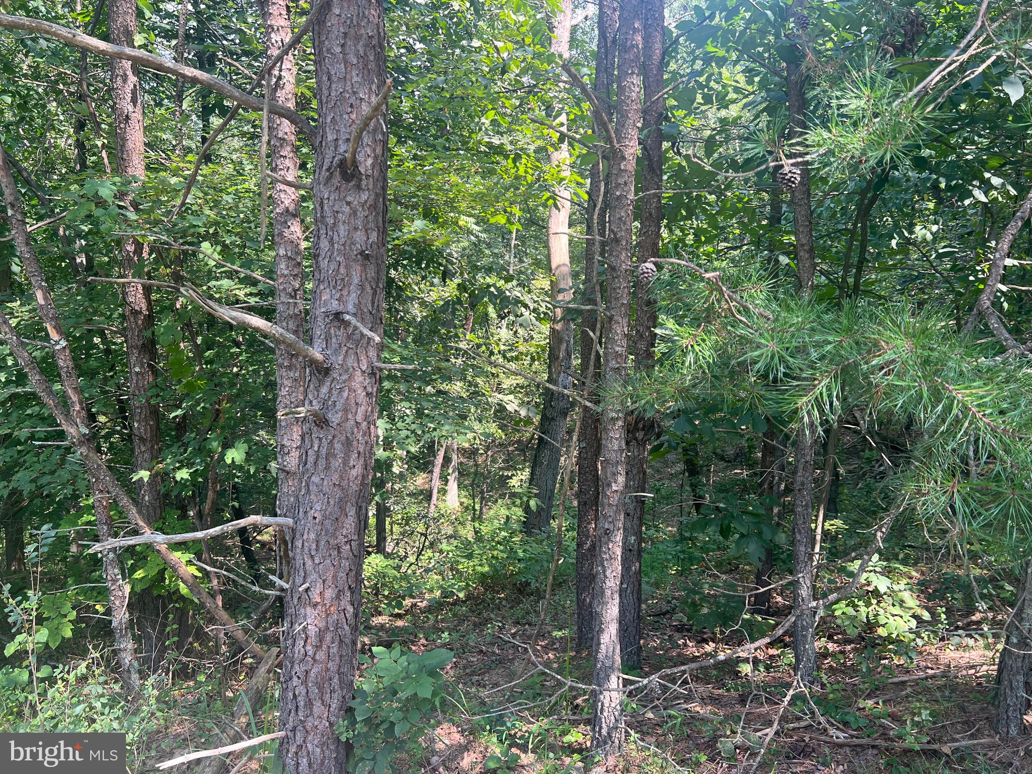 COUNTRY ACRES - Land