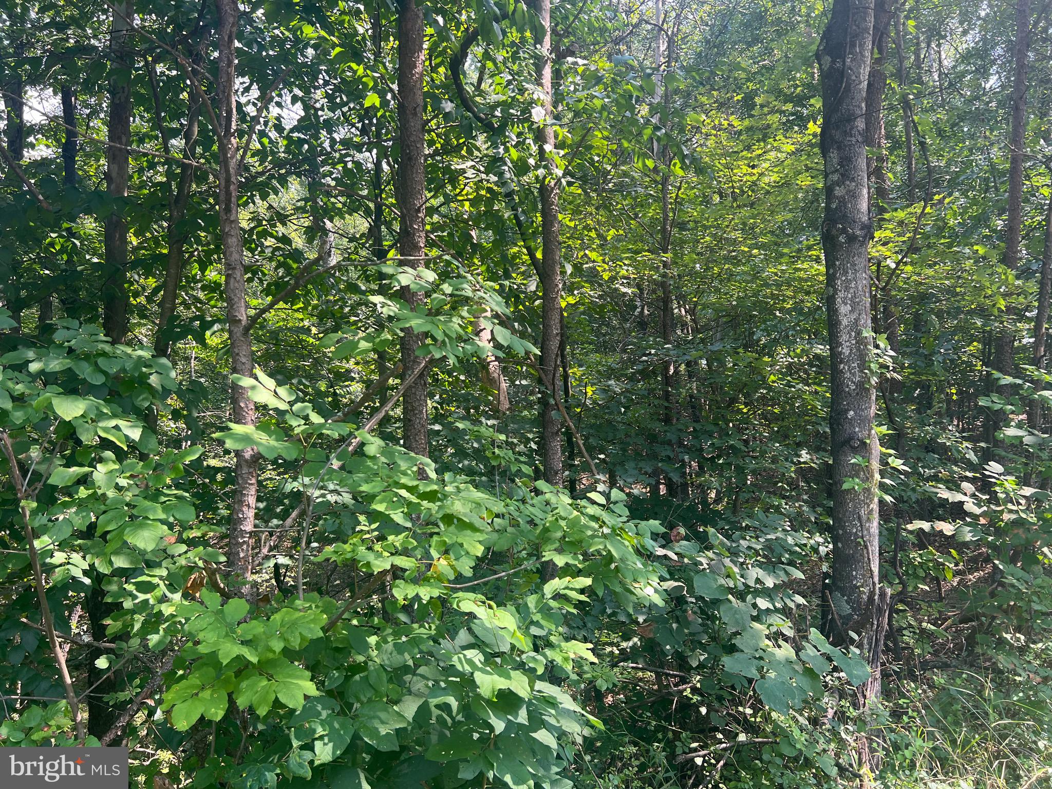 COUNTRY ACRES - Land