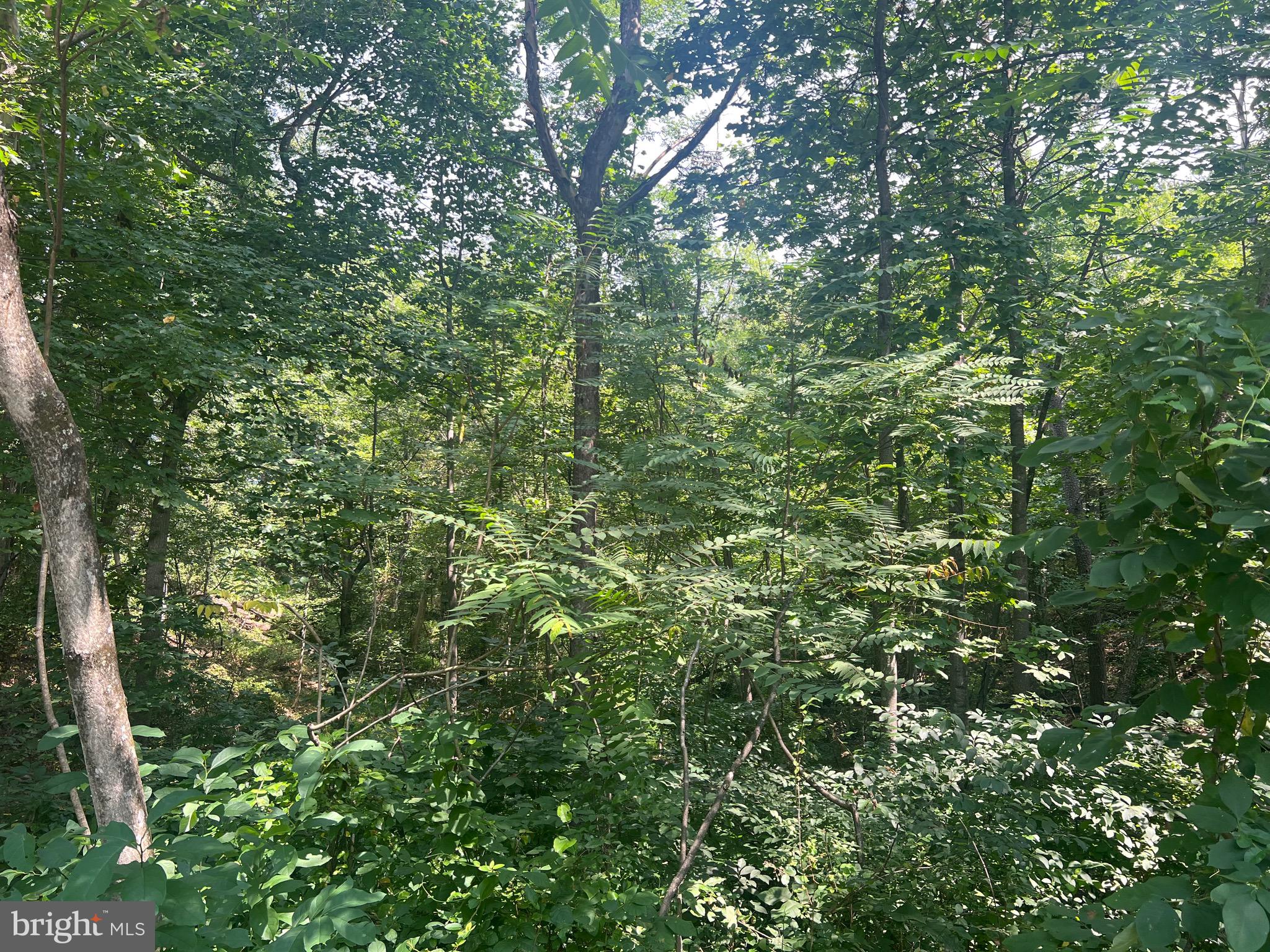 COUNTRY ACRES - Land