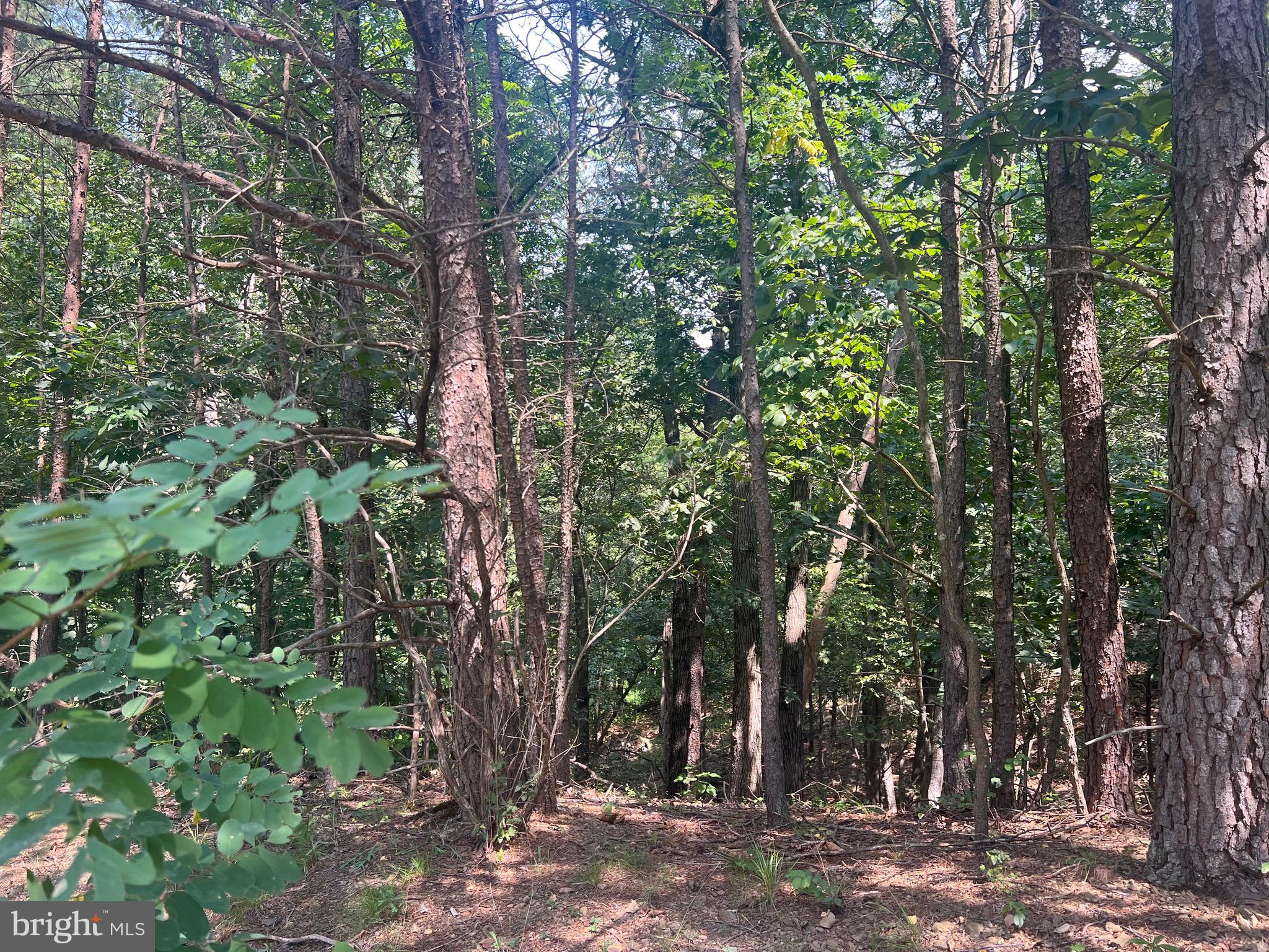 COUNTRY ACRES - Land