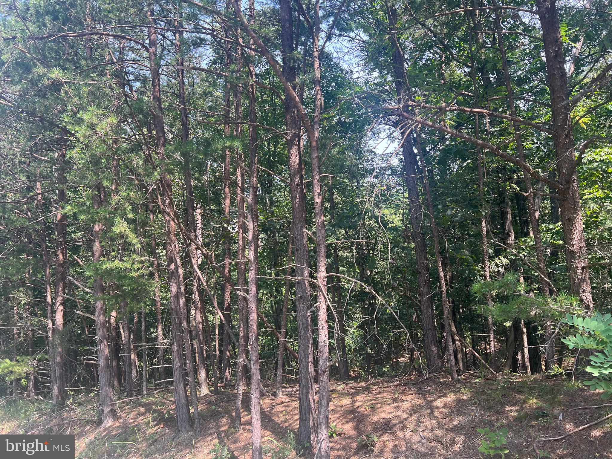 COUNTRY ACRES - Land