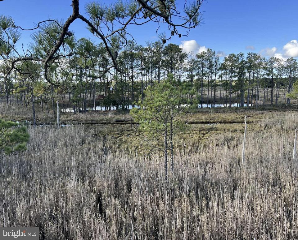CHURCH CREEK - Land