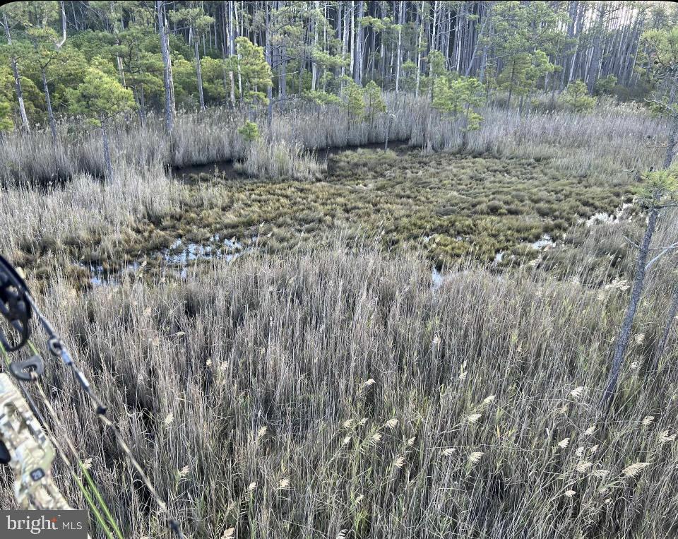 CHURCH CREEK - Land