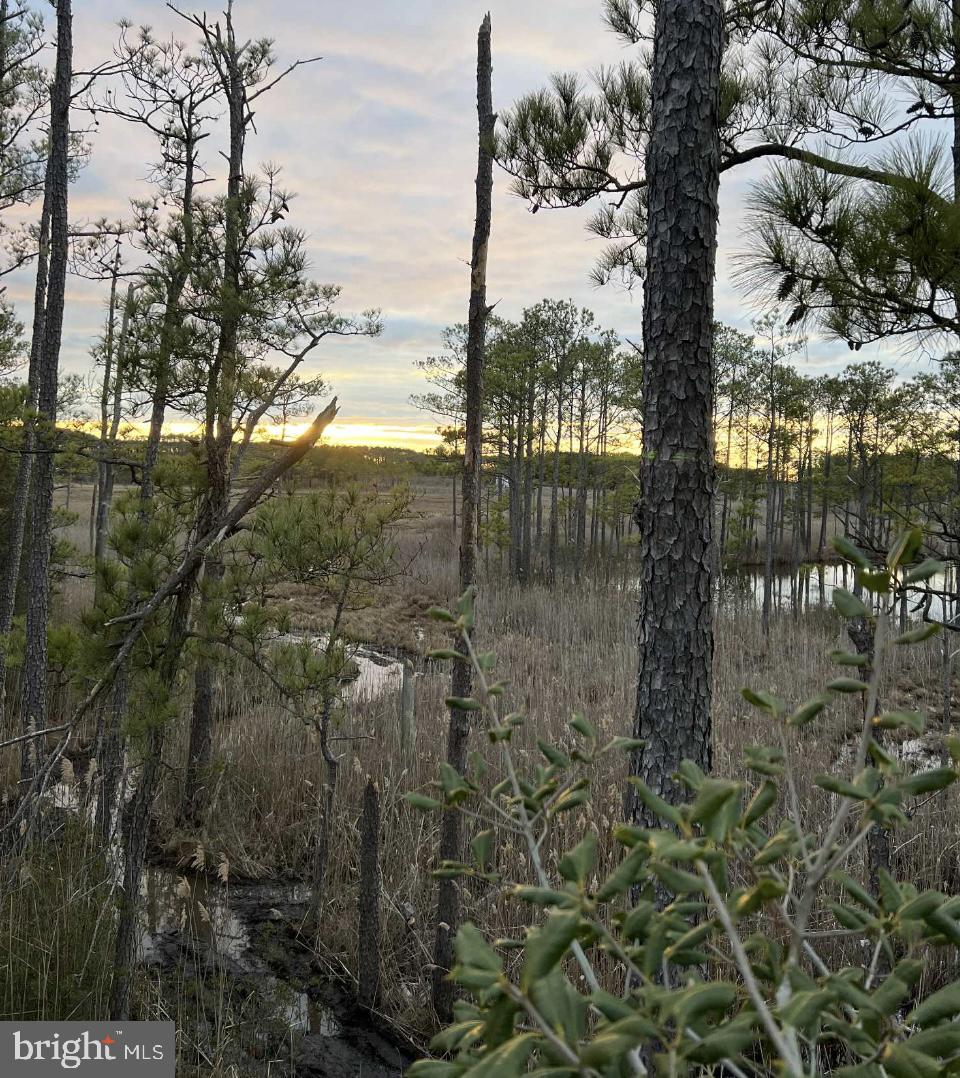 CHURCH CREEK - Land