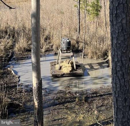 CHURCH CREEK - Land