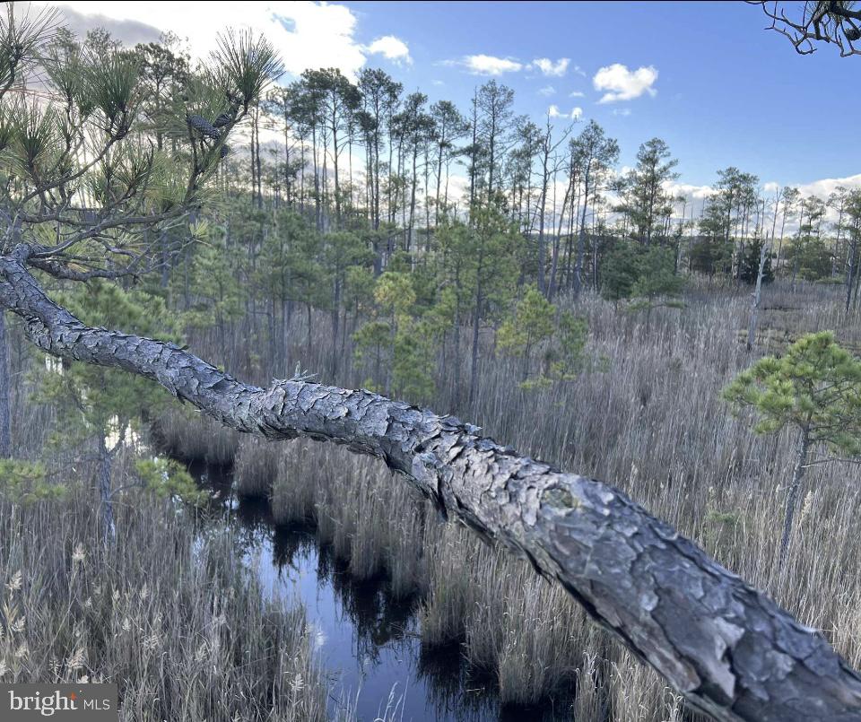 CHURCH CREEK - Land