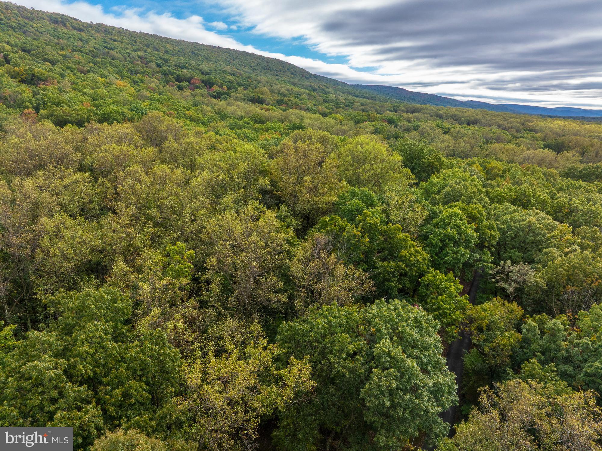 Amazing opportunity for a premium building lot in sought after Shannondale.  This parcel has current paid permit on file for well and septic with the Jefferson County Health Department.  The lot is private, gently sloping  land easily accessible via Highview Rd.  Build your private mountain retreat. This property is close to the Shannondale Lake, Shenandoah River access, and is located within minutes to the Loudoun County, VA, line for commuting, as well as Rte. 340 towards Frederick, MD, or you can stay local for shopping, dining, and plenty of recreational activities in Charles Town, WV.  Adjoining 1.43 acre parcel is also available.
