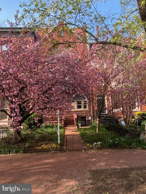 CAPITOL HILL - Residential