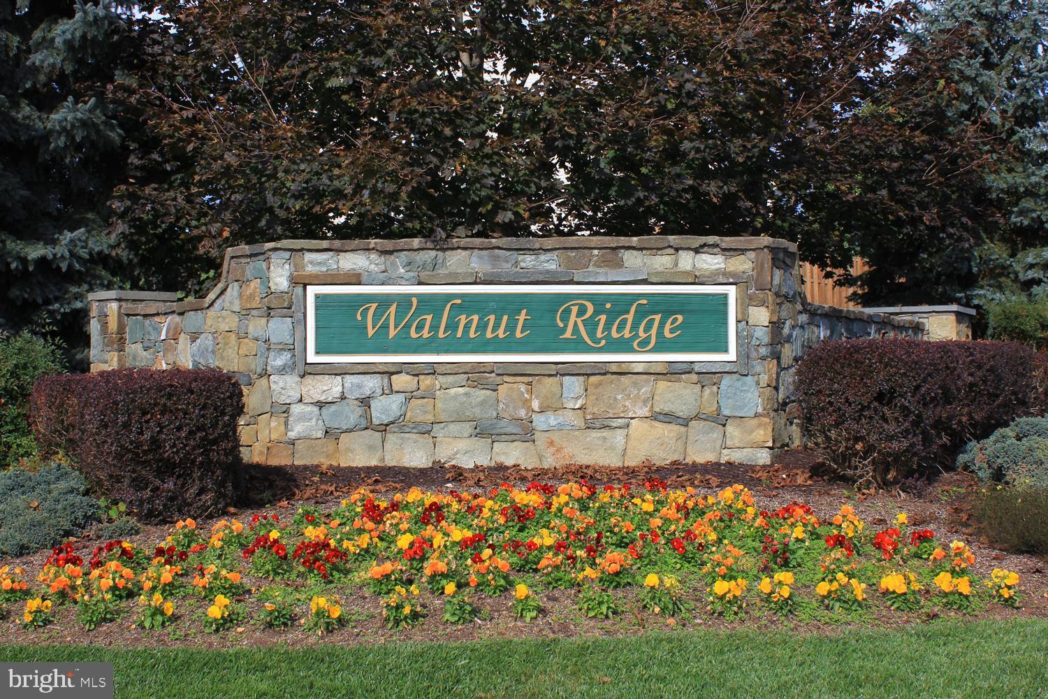 WALNUT RIDGE - Residential