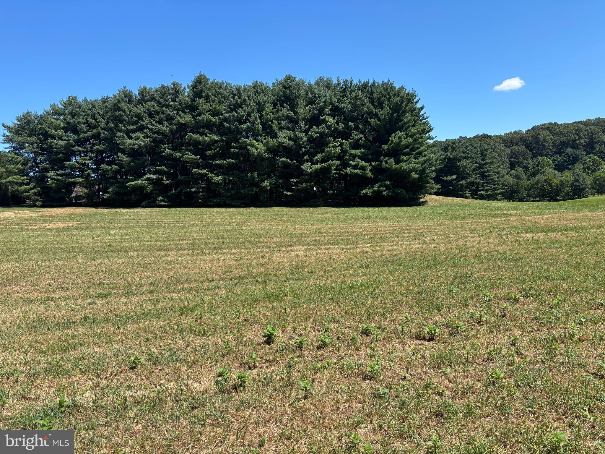 GRACELAND ESTATES - Land