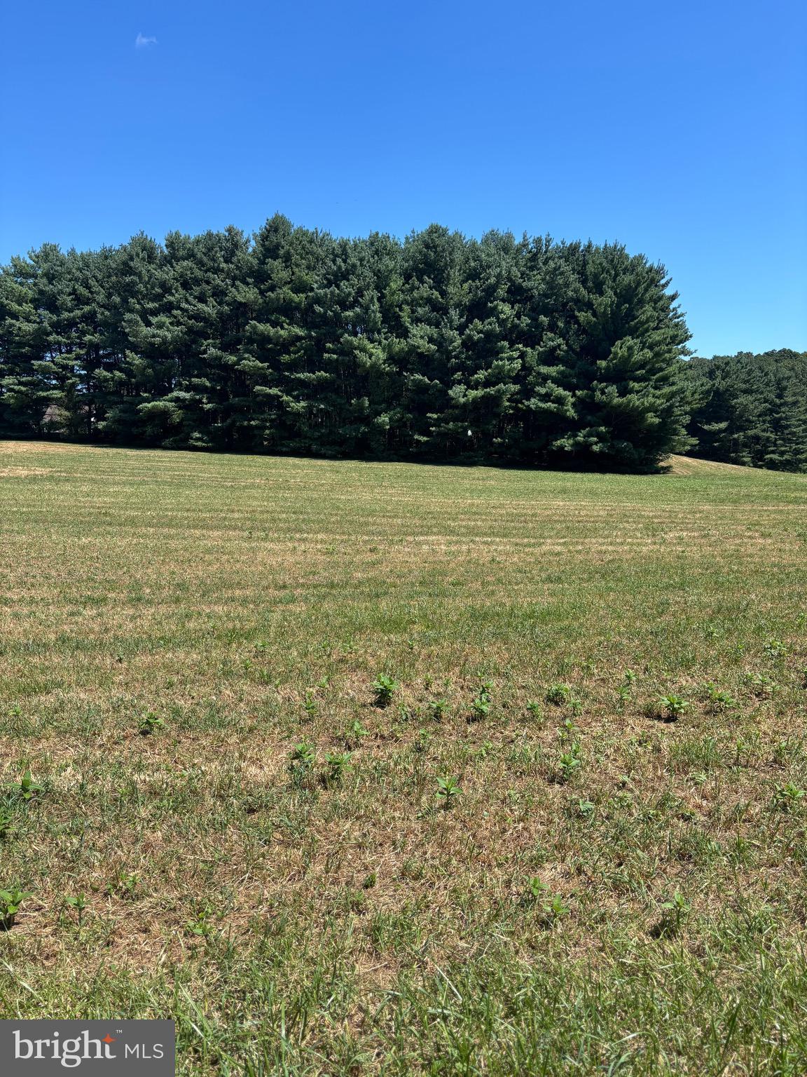 GRACELAND ESTATES - Land