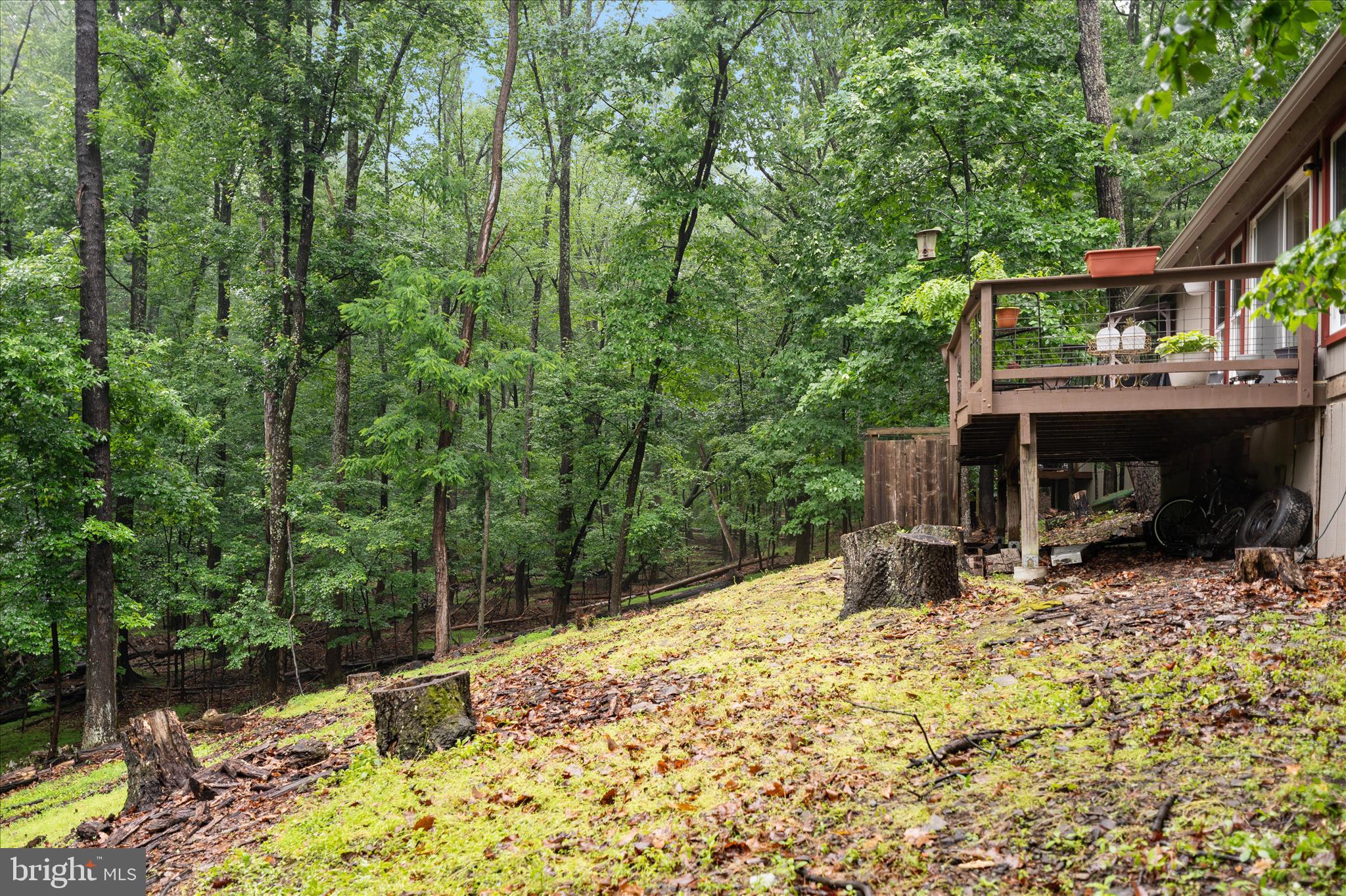 THE WOODS RESORT - Residential