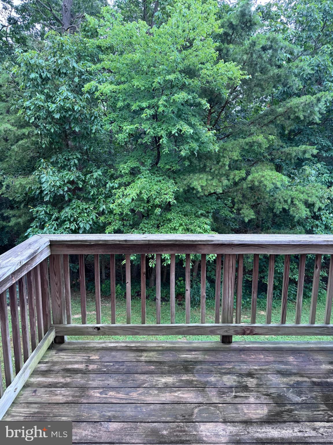 PINEY ORCHARD - Residential