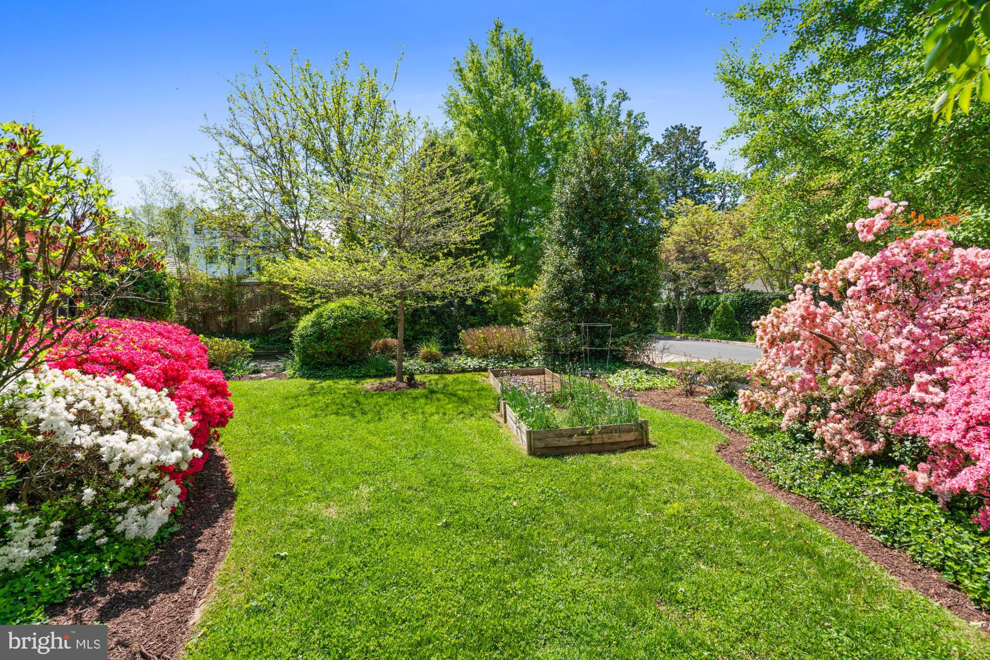 CHEVY CHASE - Residential