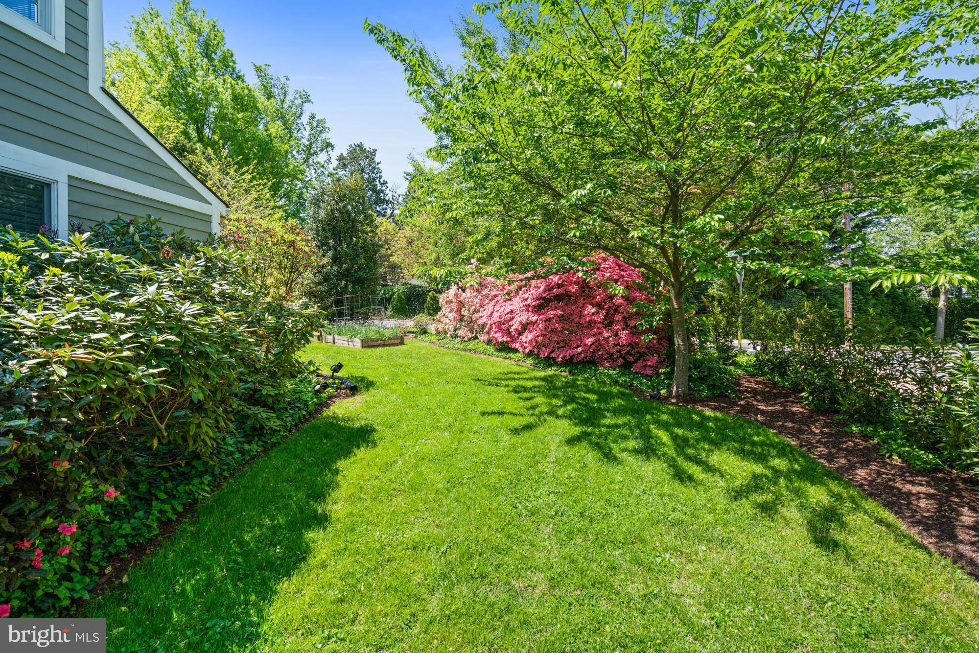 CHEVY CHASE - Residential