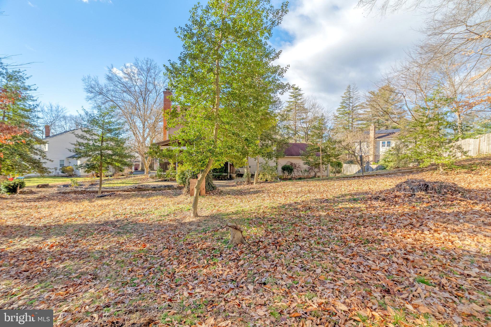 WAKEFIELD CHAPEL WOODS - Residential