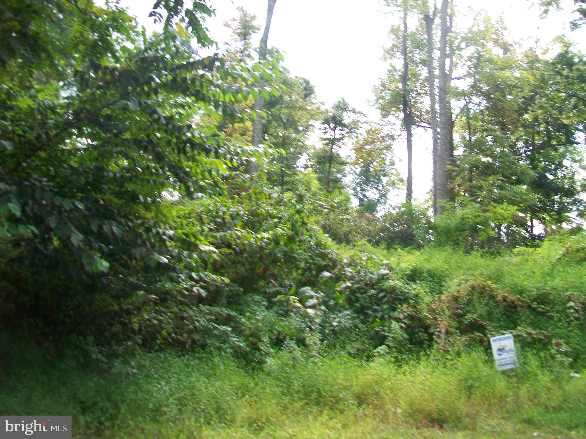 BLACKTHORN MOUNTAIN ESTATES - Land