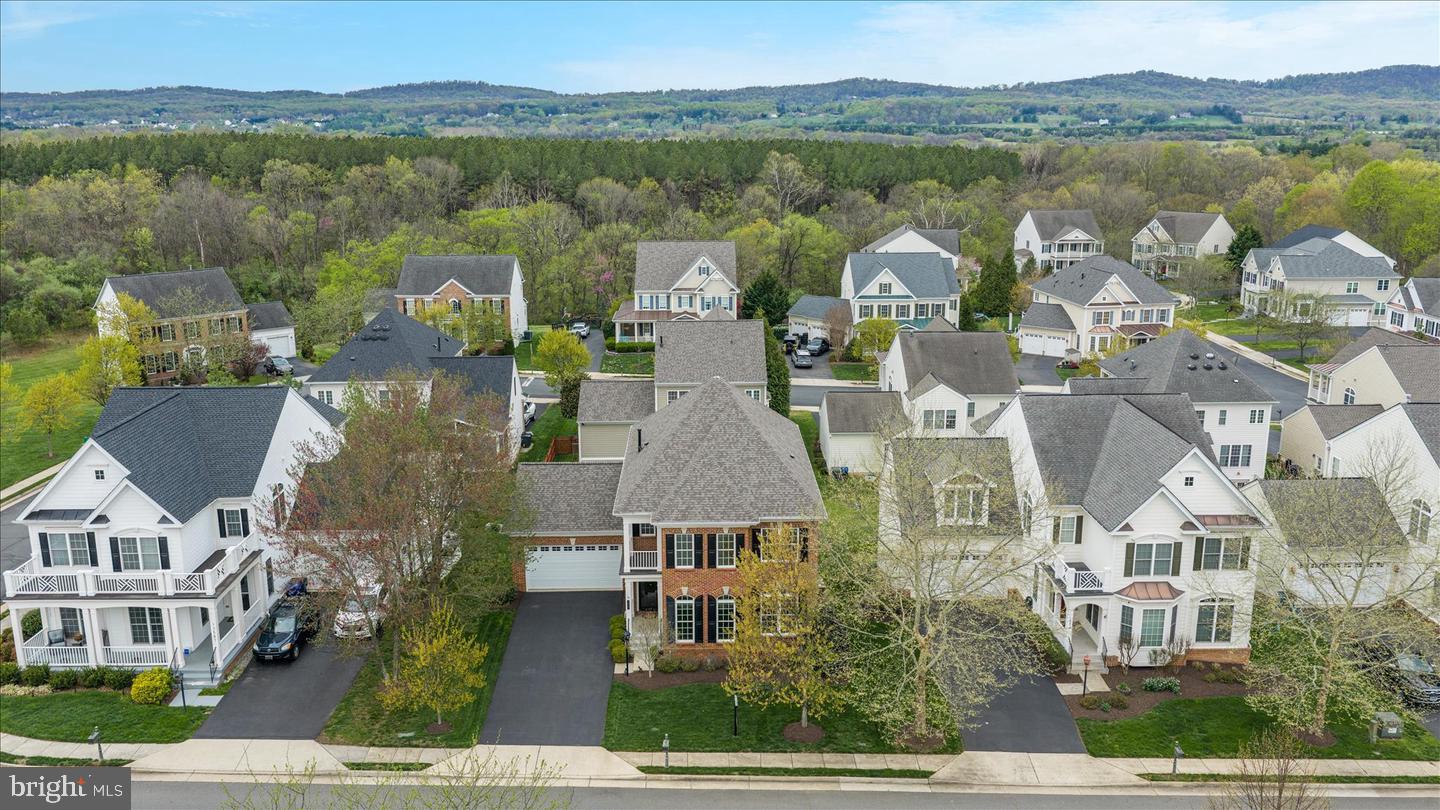ELYSIAN HEIGHTS - Residential