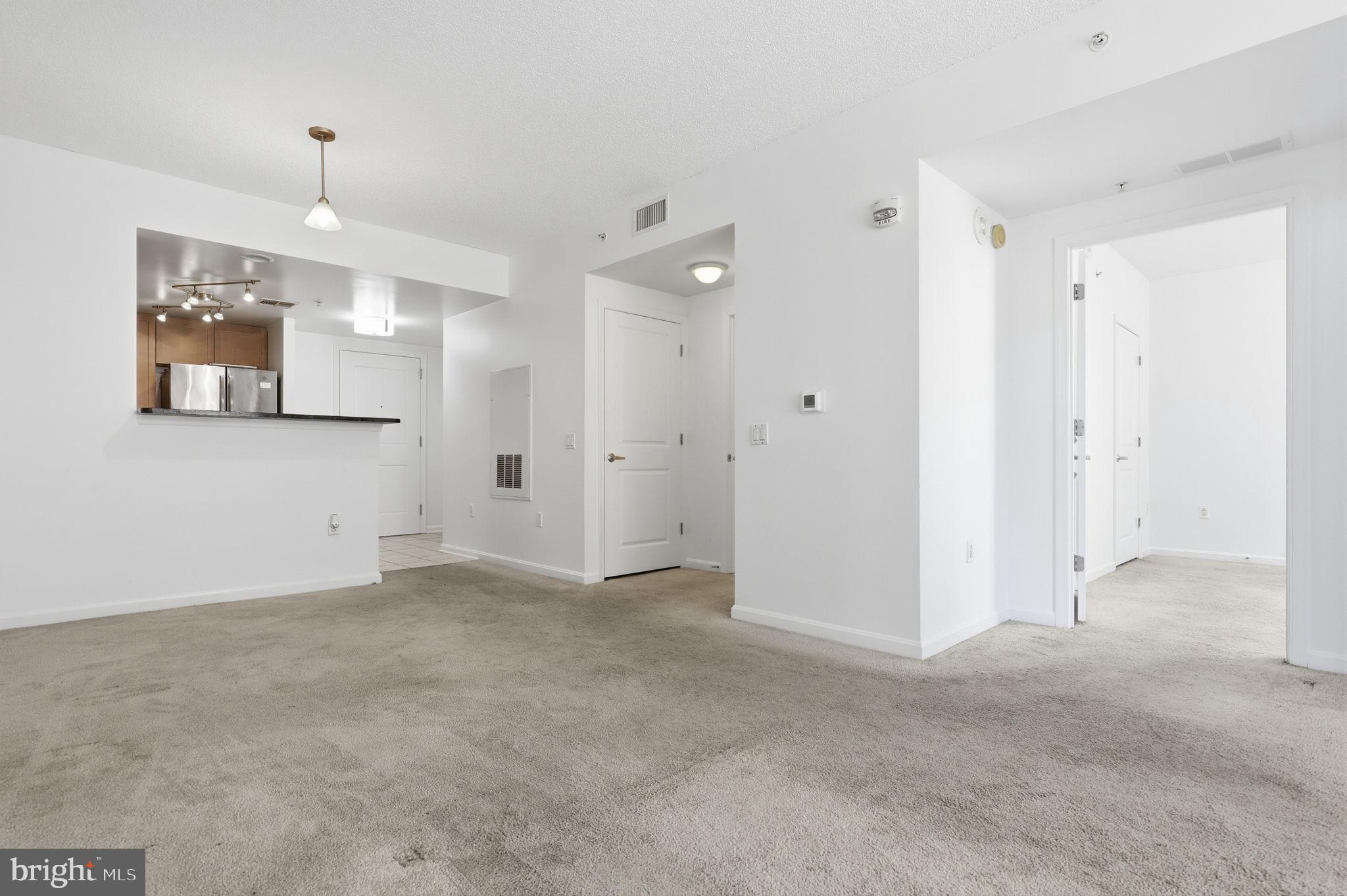 DOWNTOWN SILVER SPRING - Residential