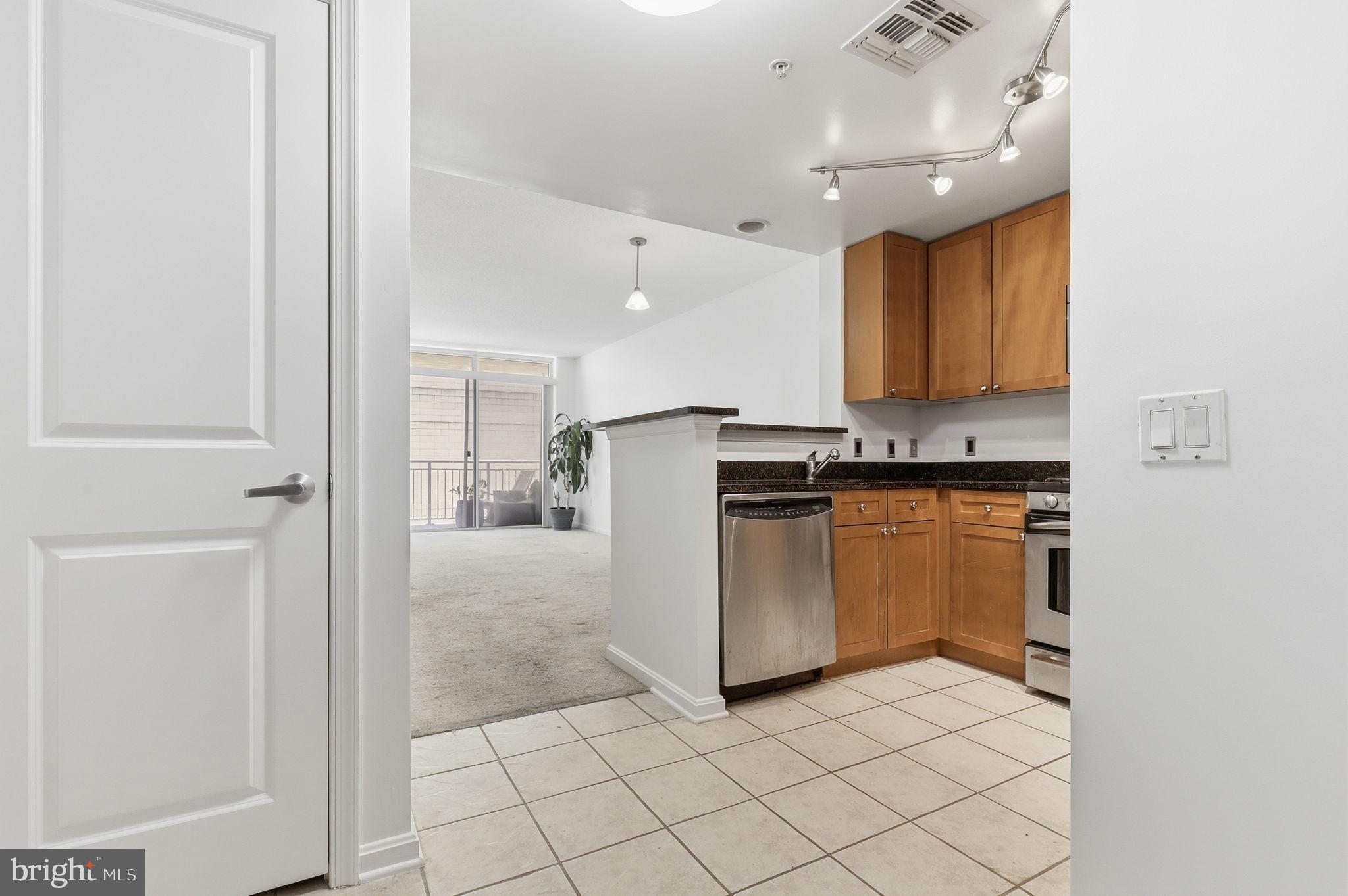DOWNTOWN SILVER SPRING - Residential